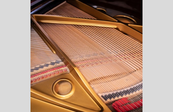 Challen Polished Ebony GP142 Grand Piano, Used - All Inclusive Premium Package (SN:955238) - Image 13